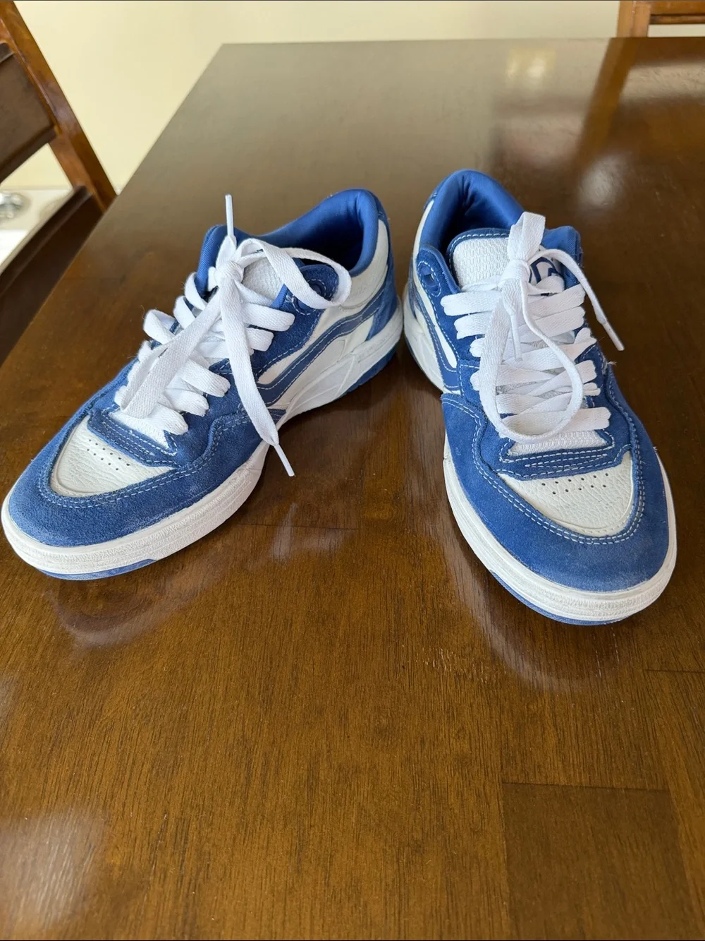 Vans Blue and White Skate Sneakers